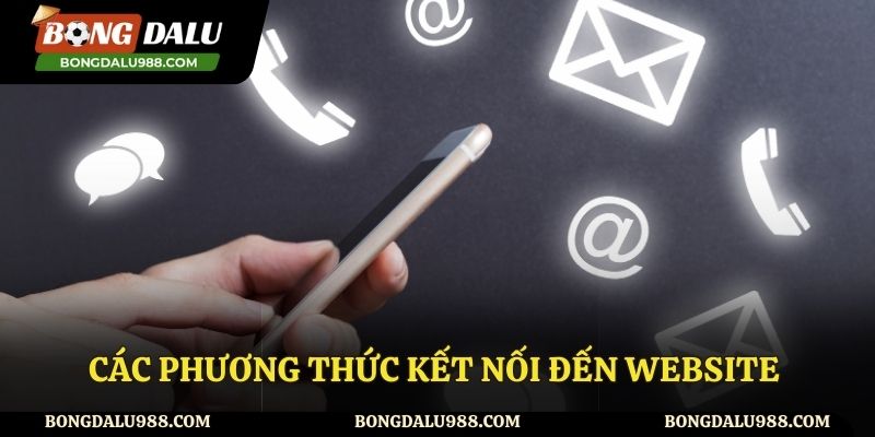 Có những phương thức liên hệ nào tại trang web