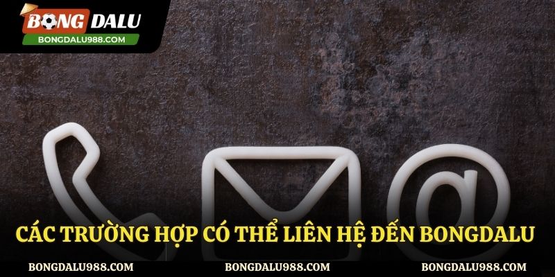 Những trường hợp cần liên hệ đến website Bongdalu