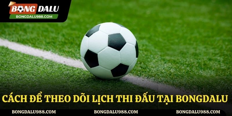Hướng dẫn cách theo dõi lịch thi đấu tại Bongdalu