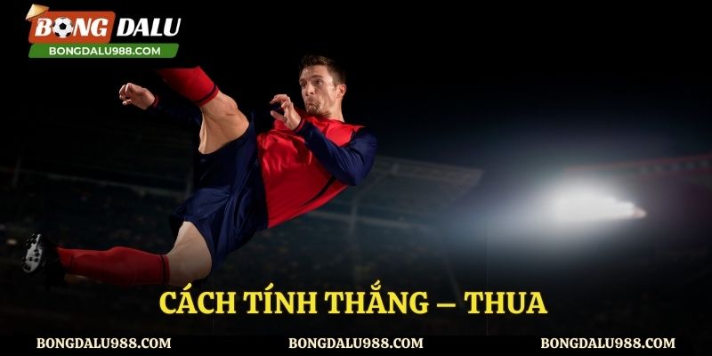 Hướng dẫn cách tính thắng thua trong kèo handicap