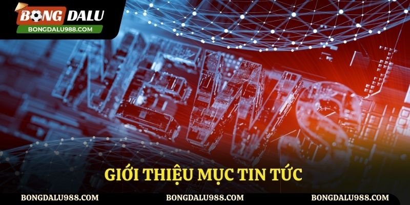 Mục tin tức tại Bongdalu là gì?