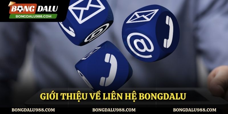 Tìm hiểu về mục liên hệ đến Bongdalu