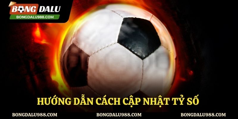 Chia sẻ cách theo dõi tỷ số bóng đá tại Bongdalu