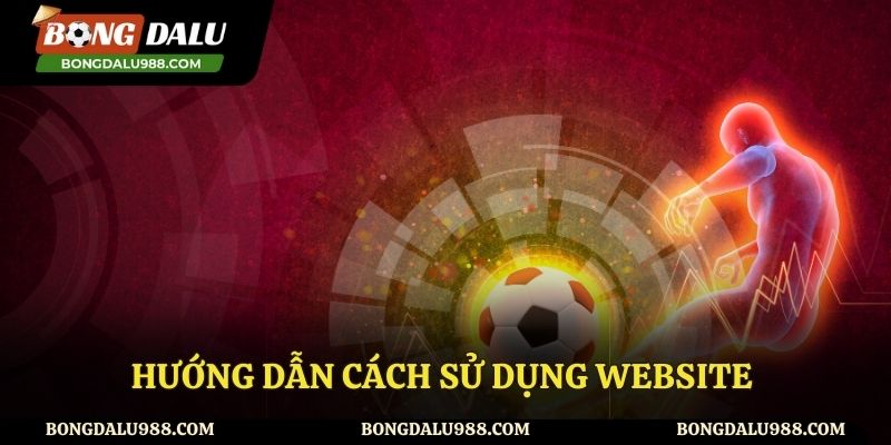 Hướng dẫn cách sử dụng website Bongdalu