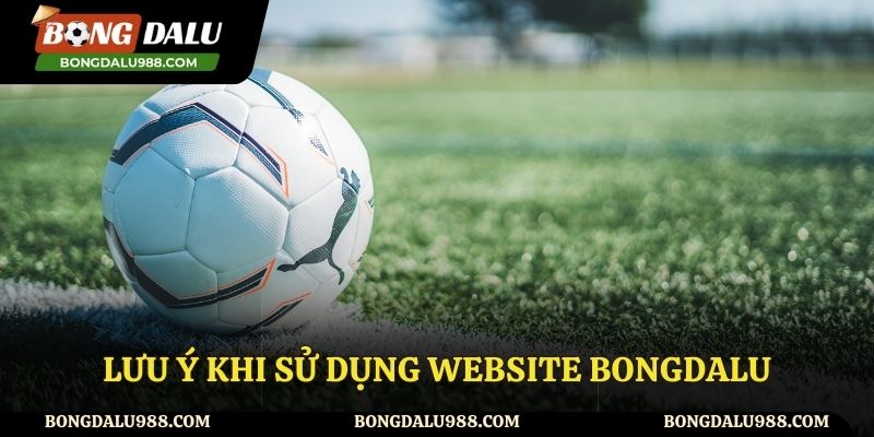 Những lưu ý khi sử dụng website Bongdalu