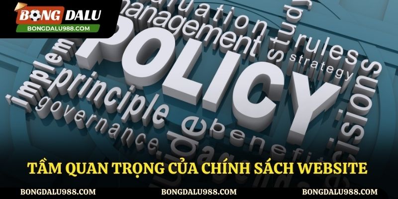 Chính sách website có những vai trò gì?