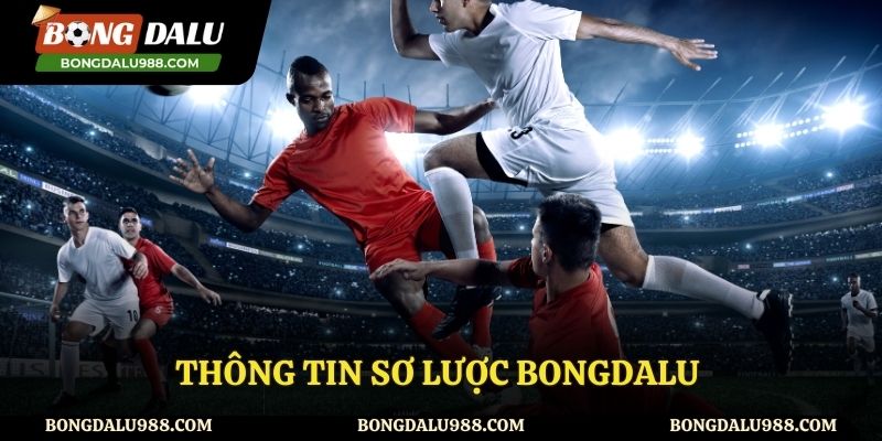 Giới thiệu về kênh trực tiếp bóng đá - Bongdalu