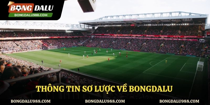 Về chúng tôi những thông tin cơ bản nhất