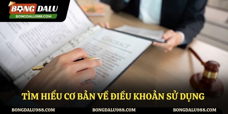 Tìm hiểu về quy định điều khoản tại Bongdalu