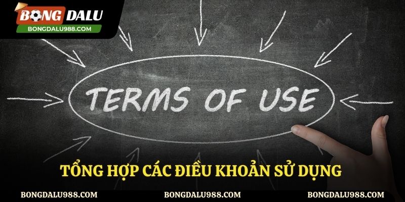 Danh sách các điều khoản sử dụng của website Bongdalu