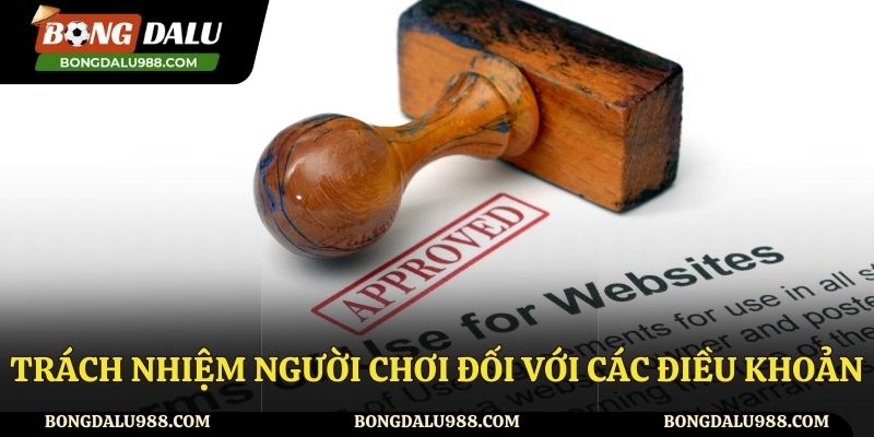 Trách nhiệm của người dùng đối với chính sách điều khoản sử dụng