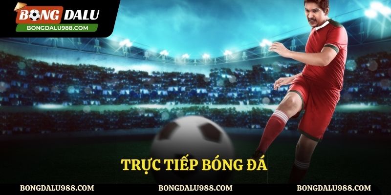 Xem bóng đá trực tiếp với chất lượng cao