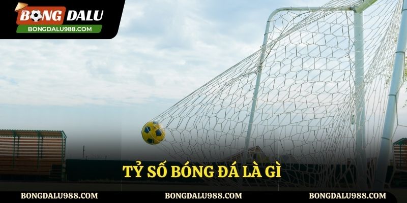 Giới thiệu tỷ số trận đấu là gì?