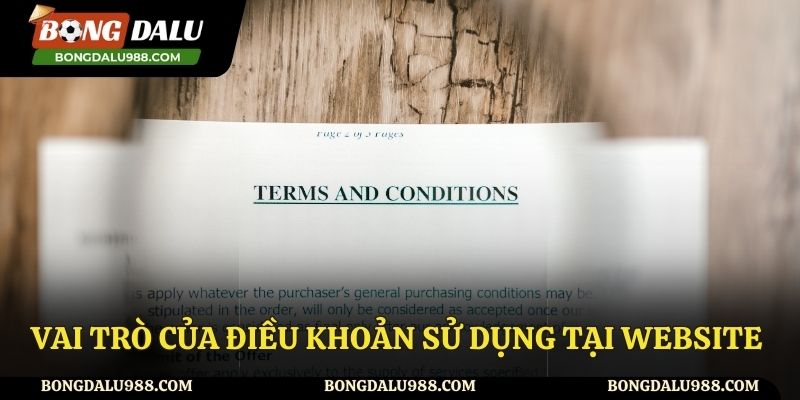 Những vai trò của điều khoản sử dụng tại website