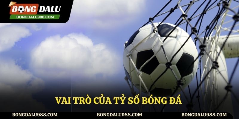 Những vai trò của tỷ số bóng đá