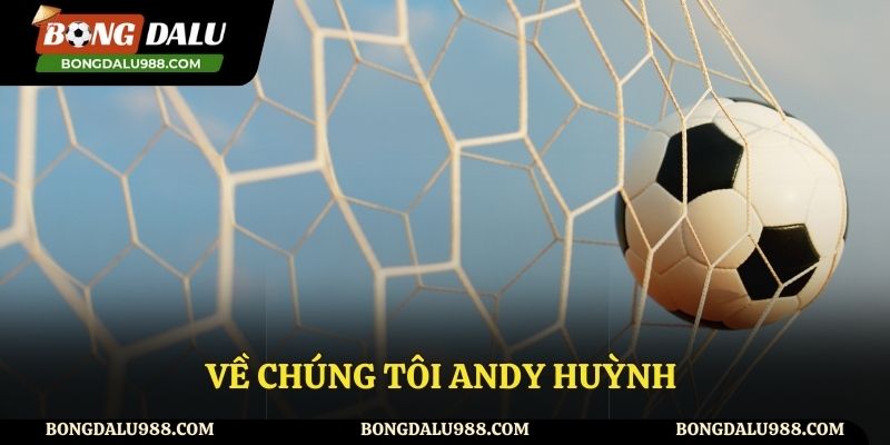 Về chúng tôi - admin website